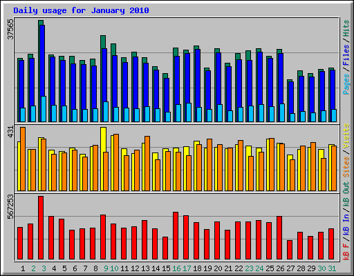 Daily usage for January 2010